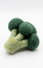 Broccoli Wool Felt Fridge Magnet - Woobbi